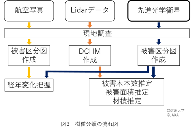 樹種分類の流れ図_3.png