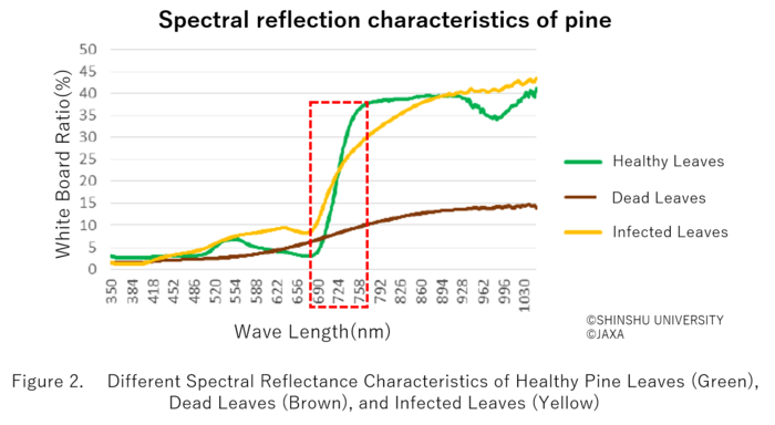 figure2.png