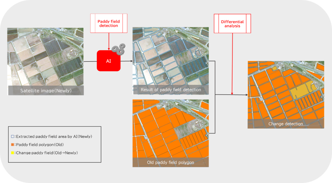 Paddy field Detection_2.png